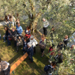 Gargnano - Bardolino 2017 4