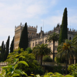 Isola del Garda 2014 13