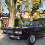 San Gaudenzio 2017 g